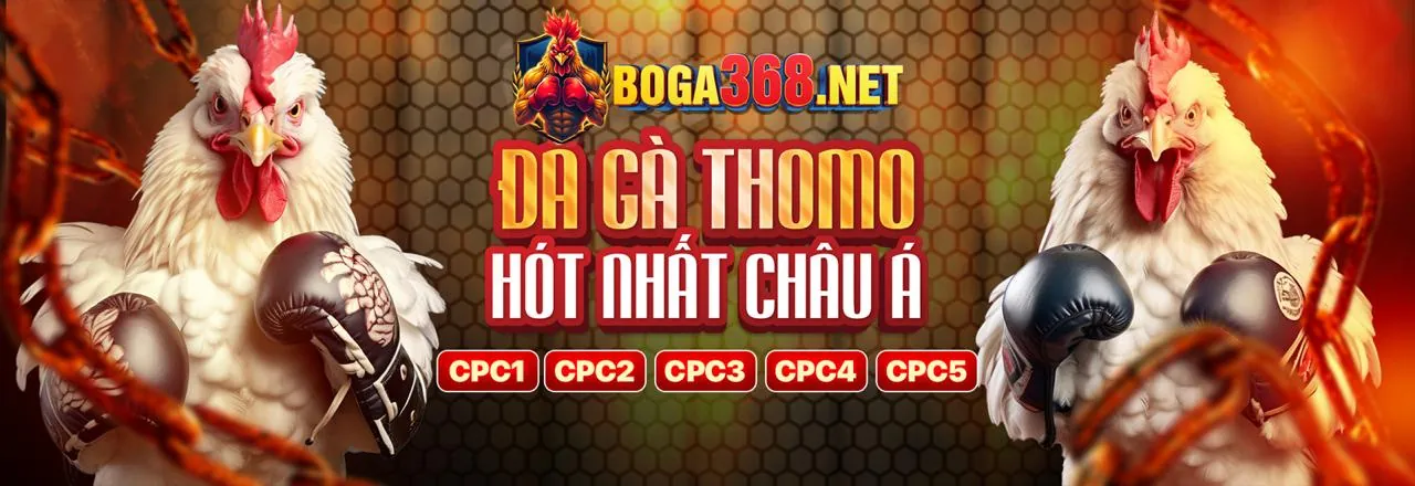 bcgame đăng nhập - Nền tảng cá cược trực tuyến hàng đầu